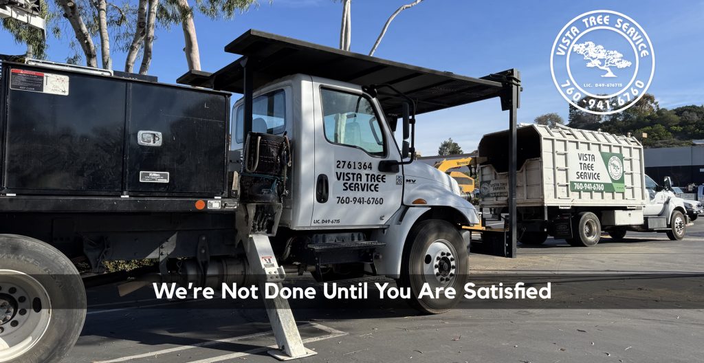 VISTA TREE SERVICE INC logo